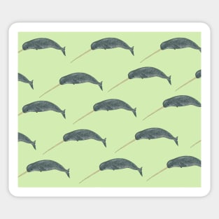 Amazing narwhal Sticker